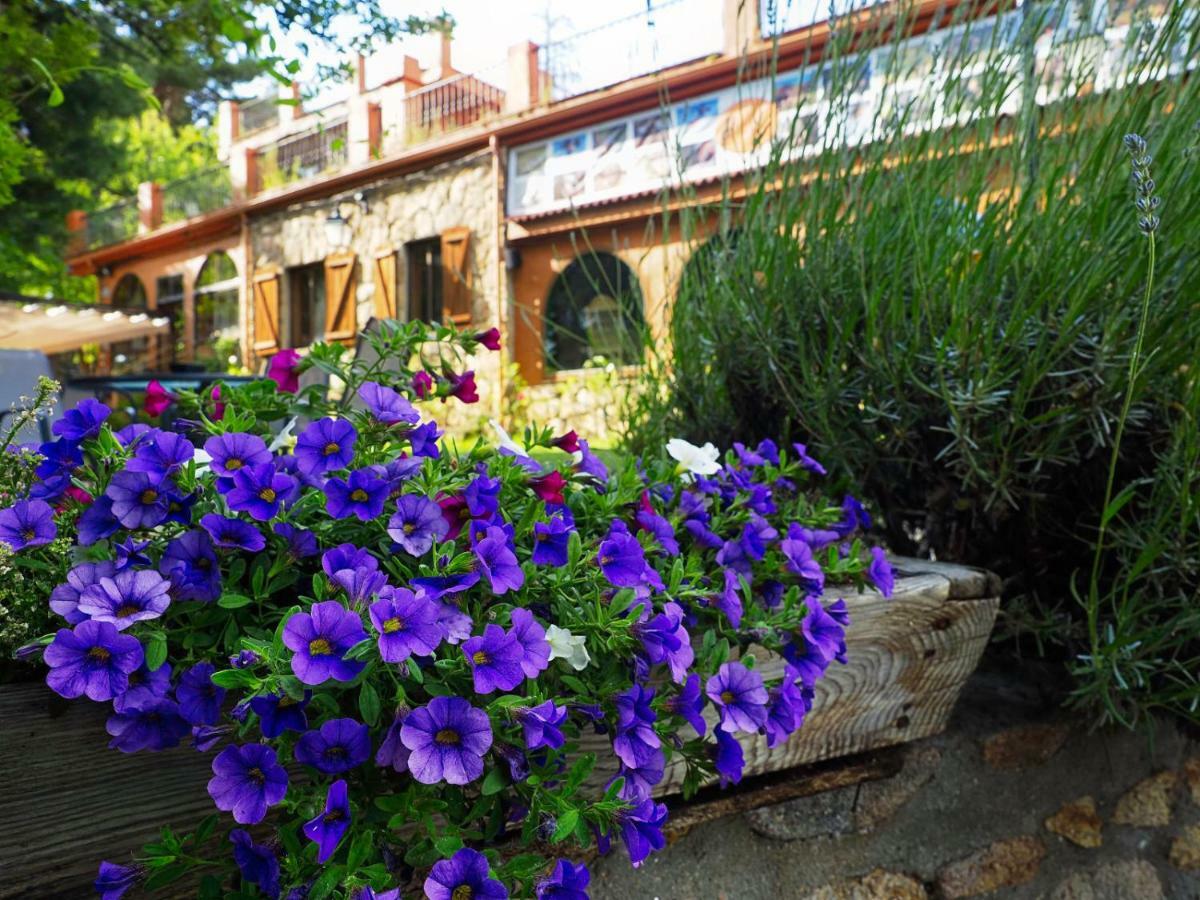 Hospedium Hostal Almanzor Navarredonda de Gredos Exteriör bild
